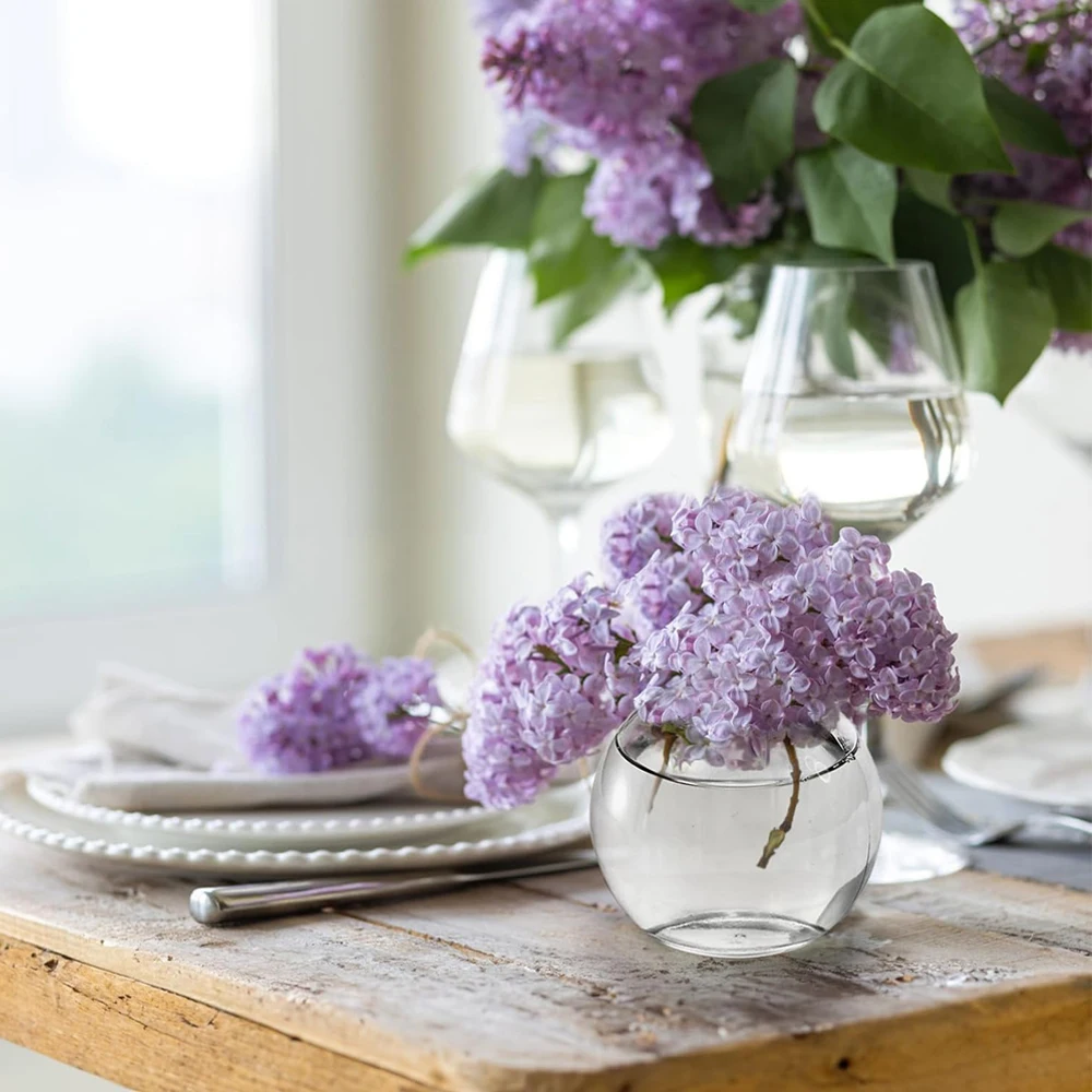 Clear round Glass Potion Bottl - đánh giá và giá Food Storage Glass Round