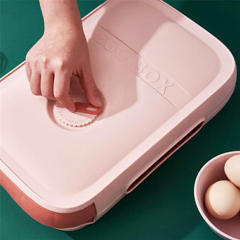 AEE6-Egg Storage Container Ref - đánh giá và giá Food Storage Drawers